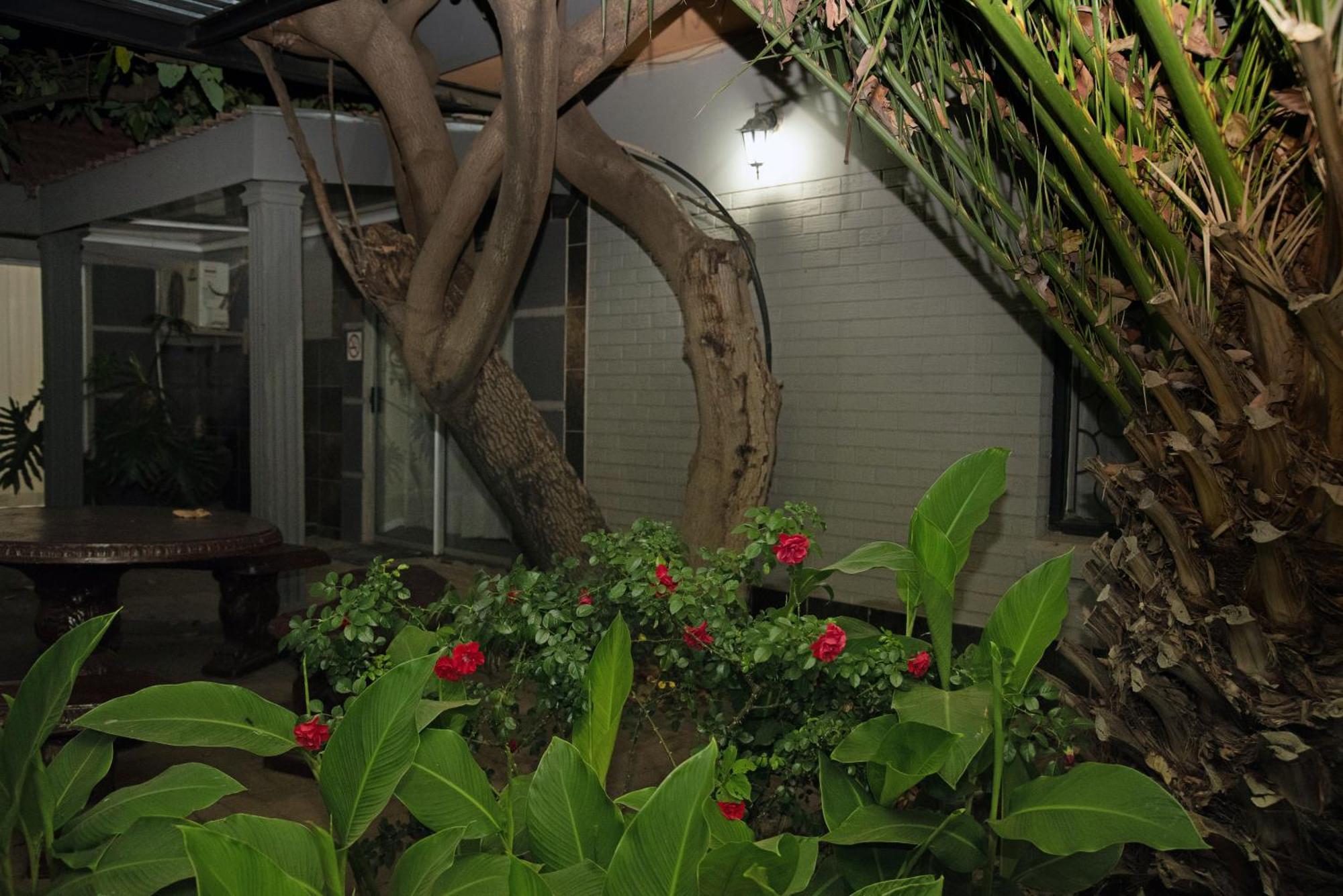 Gold Guest & Conference Bed & Breakfast Welkom Exterior photo